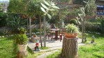 DSC04646   